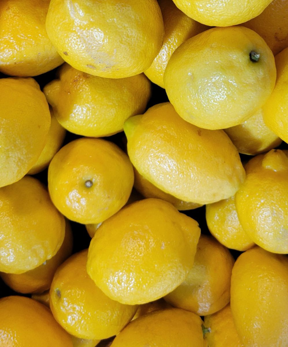 Lemon