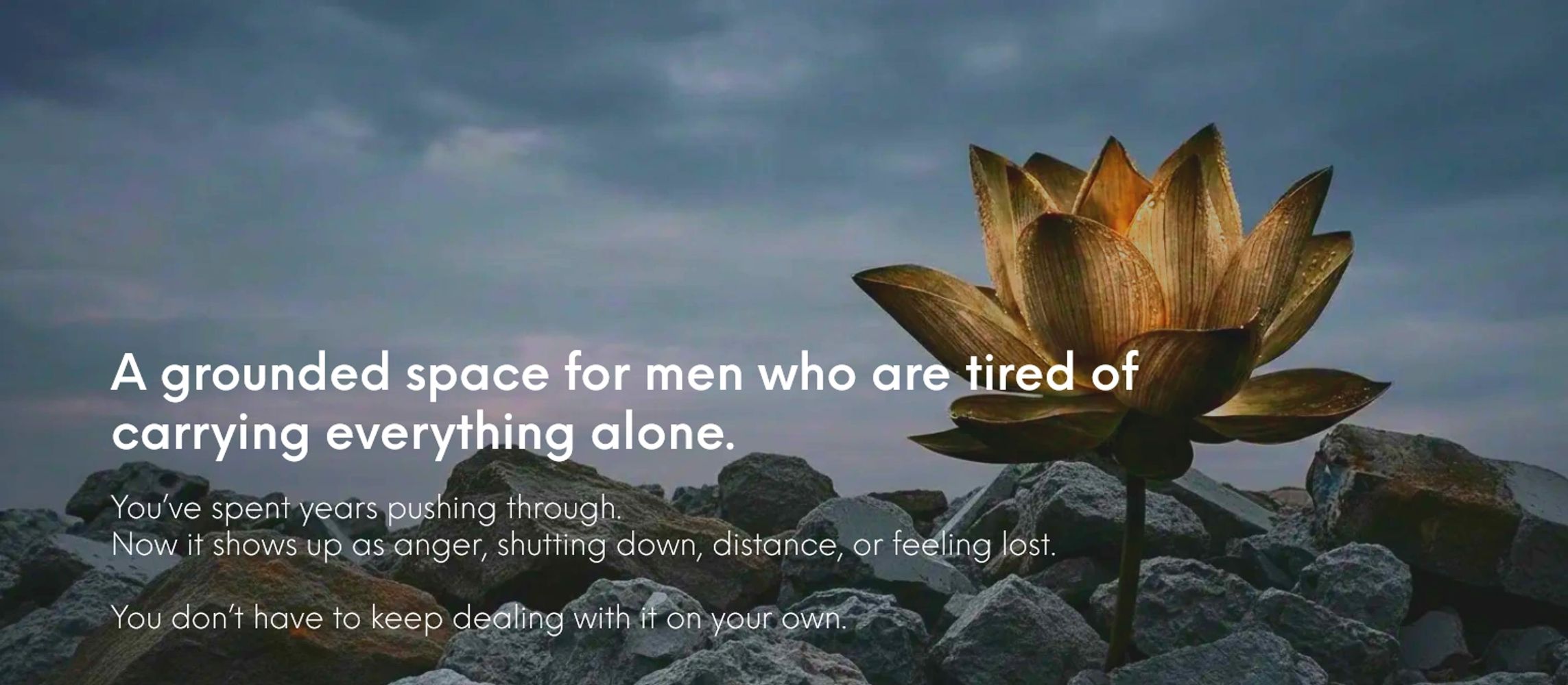 Lotus flower blooming from the rubble