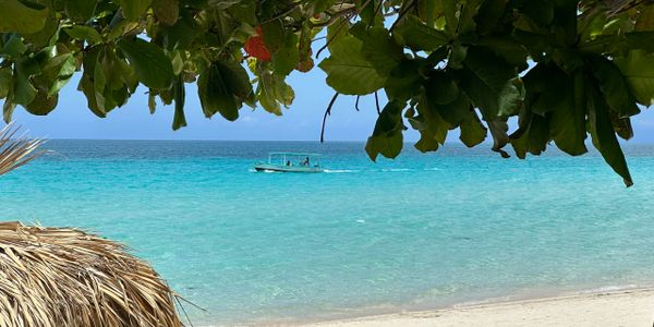 A boat floats on clear turquoise water near a sandy beach with leafy shade.