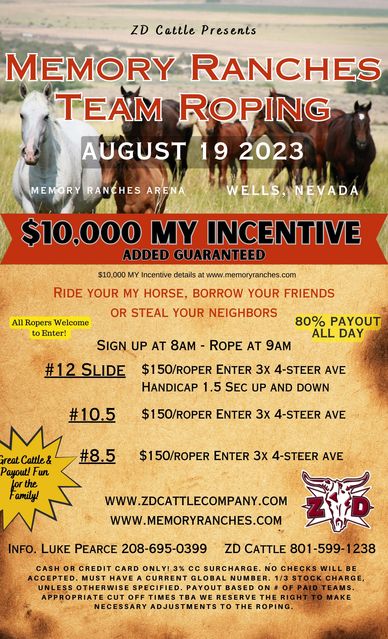 ZD Team Roping - ZD Cattle & Events