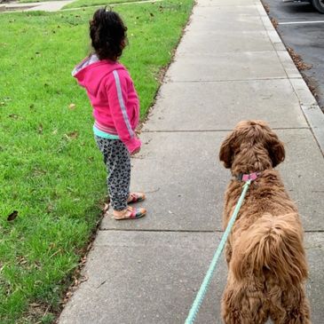 Trusted local pet walking service offering safe,attentive neighborhood walks for pups.