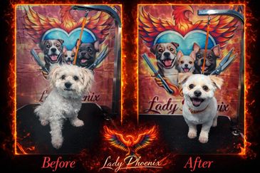 We offer gentle,proffesional grooming tailored to your dogs needs in a calm, one on one environment.