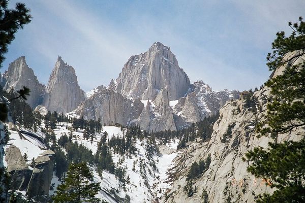 Snow-covered rocky mountain peaks with scattered pine trees under a blue sky.