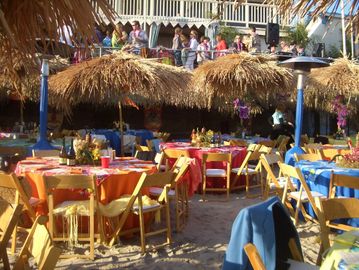 Thatched Umbrellas Palapas Rentals