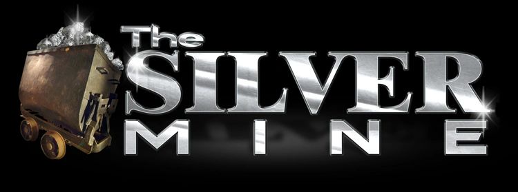 The Silvermine Jewelry Sterling Silver Jewelry Earrings