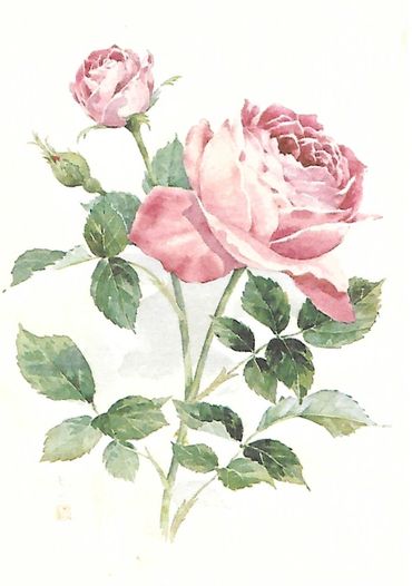 image274