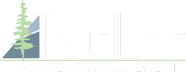 Trueline Project Management