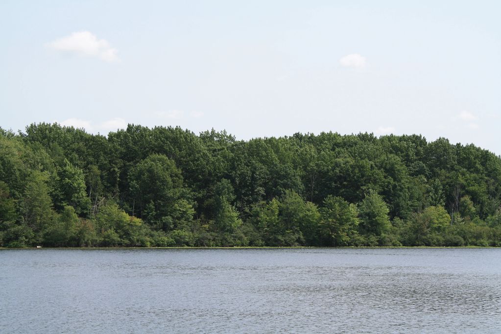 Genesee-Otter Lake Campground — photo 8