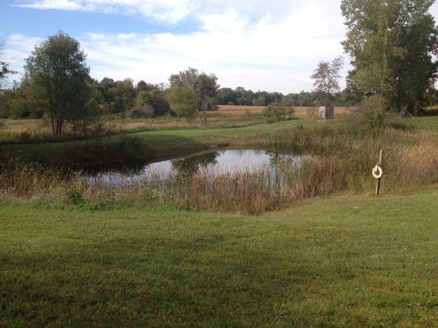Countryside Kennels
