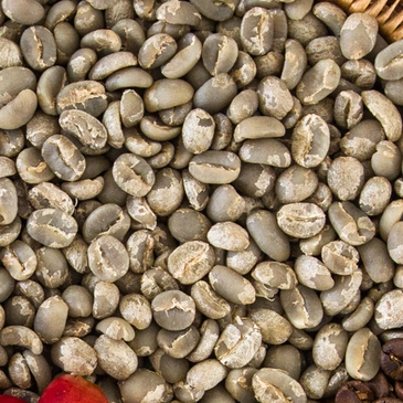 Coffee cherries, parchment, green coffee and roasted coffee