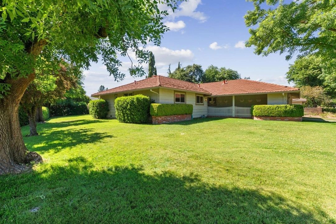 Sunny backyard with green lawn and trimmed bushes around a single-story house.