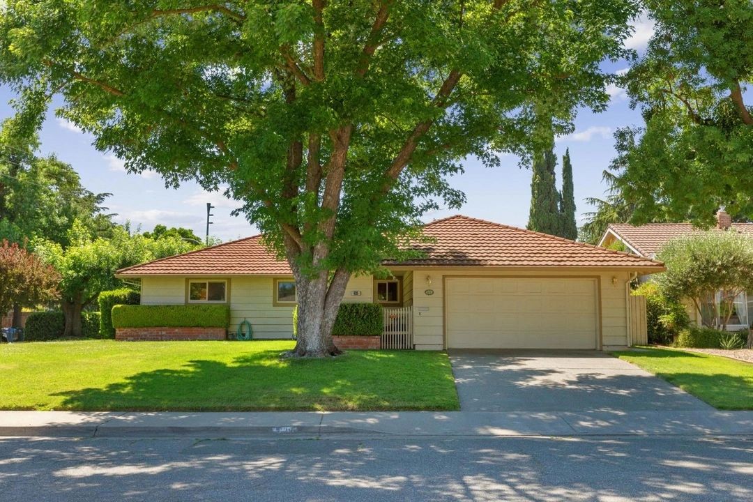 Single-story suburban house with a large tree and green lawn.