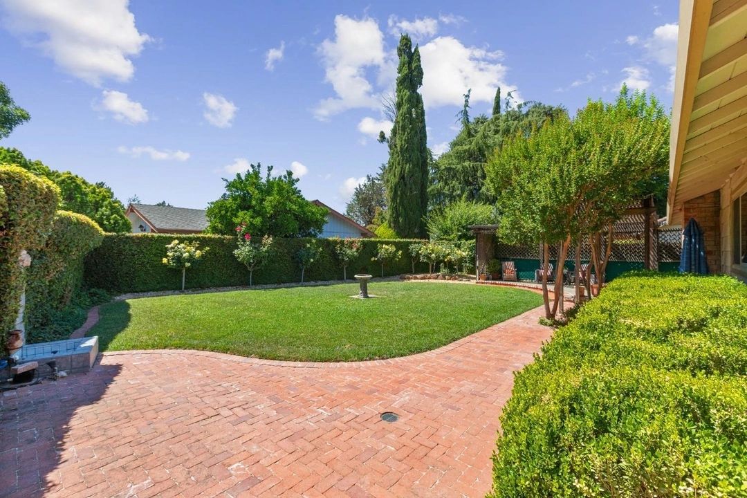 Sunny backyard with lush greenery and brick pathway under a blue sky.