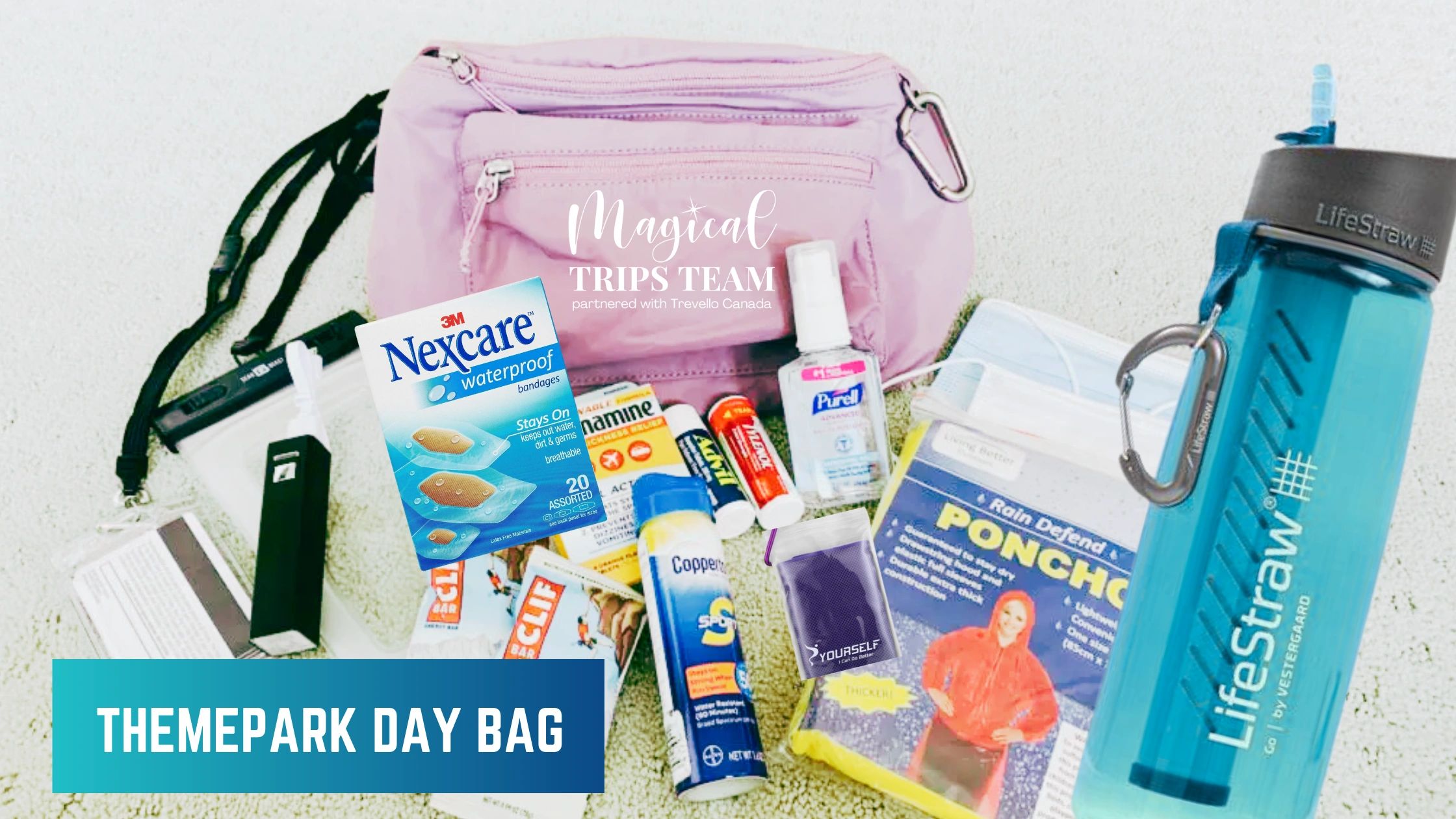 Theme Park Day Bag Essentials