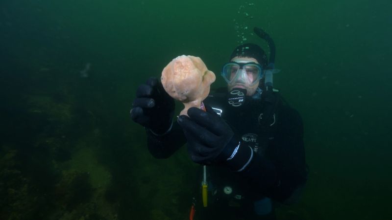 Dr Chris Gillies with marine sponge