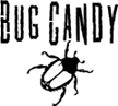 Eric Thiegs of indie band, Bug Candy