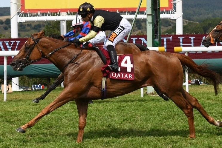 Jim Goldie racing - Jim Goldie, Racehorse Trainer, Horse Racing