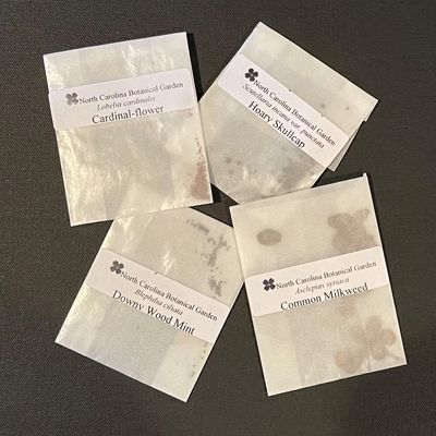 Four labeled seed packets from North Carolina Botanical Garden on a dark surface.