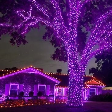 Get a free quote   custom giant Christmas tree lighting design in Santa Barbara from Holiday Hub!