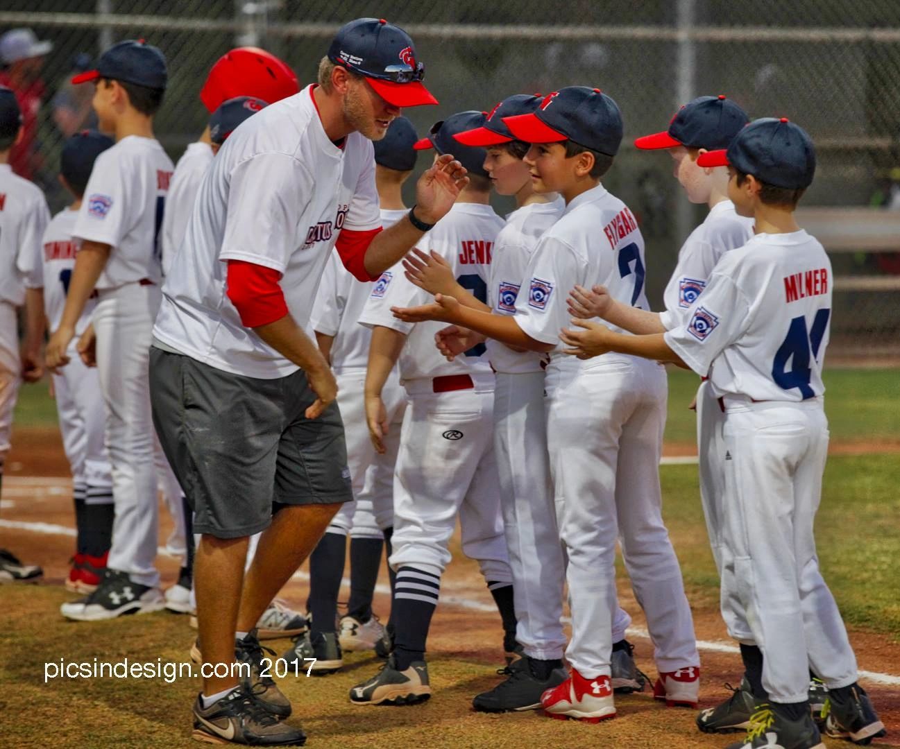 About CHLL | Cactus Horizon Little League