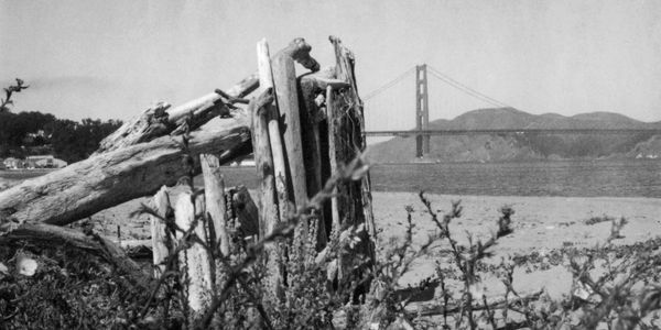 Crissy Field San Francisco