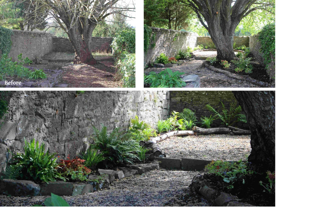 Ruined farm steading turned into a "Secret Garden" with a range of plants suited to shady conditions
