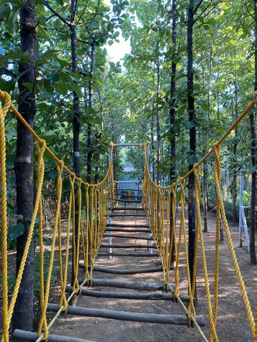 Rope bridge which is a part of the rope activities offered at Nature First Eco-Village
