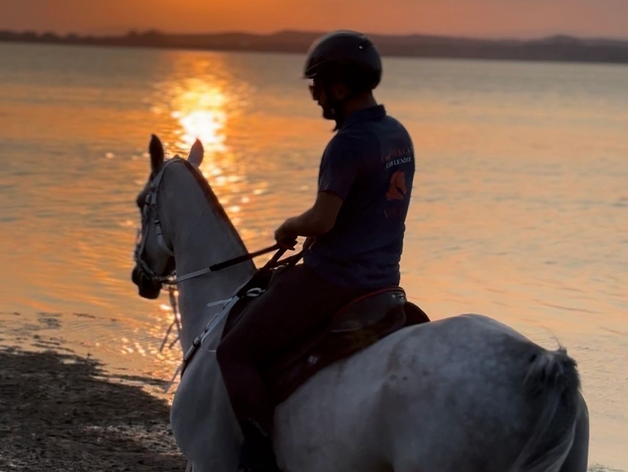 Silhouette of a rider on a white horse by the water at sunset.