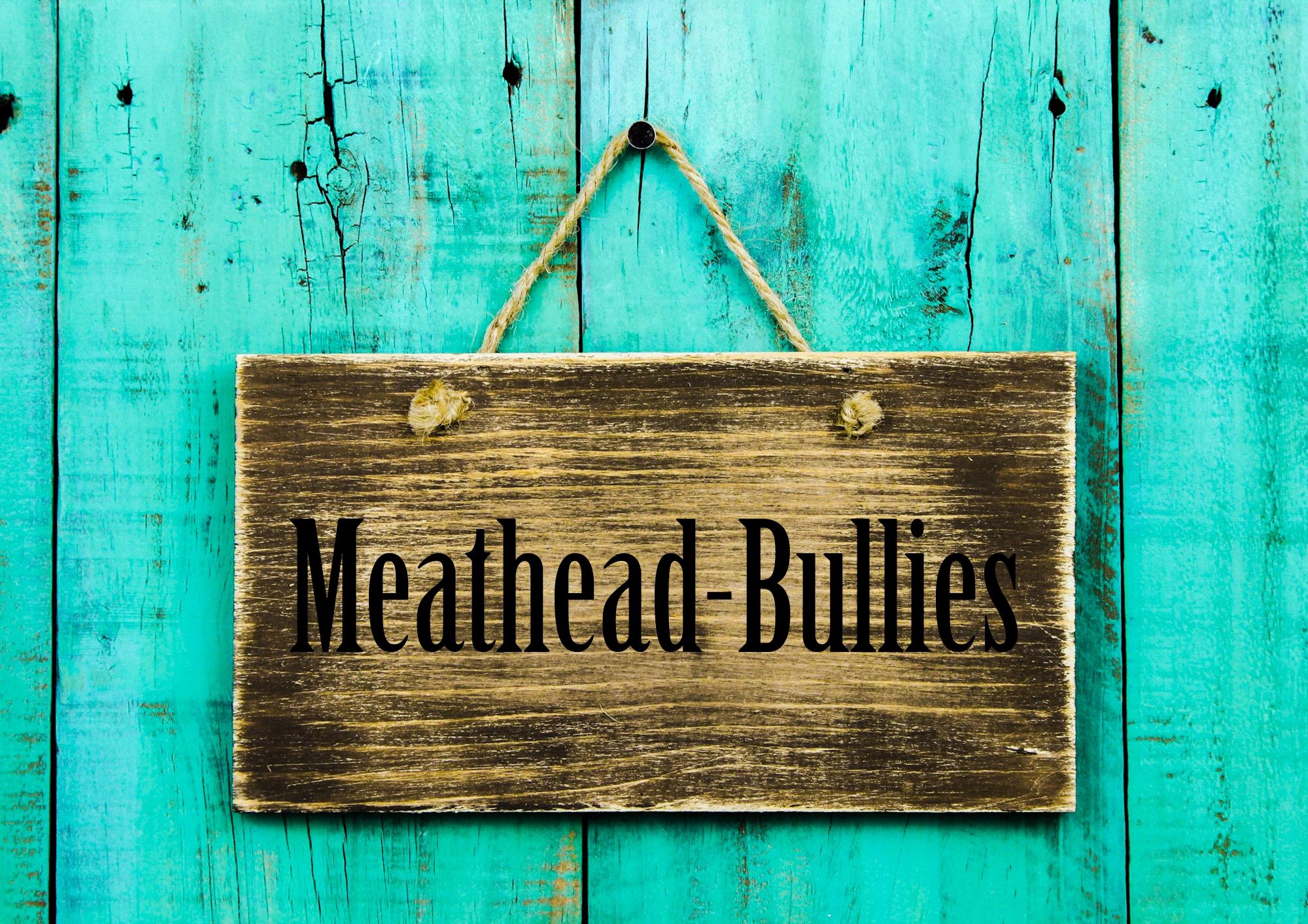 MeatheadBullies English Bulldog Puppies, Puppies, Puppies for Sale