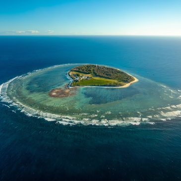 Lady Elliot Island