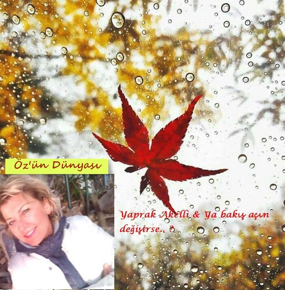 Access Bars&Cosmic Energy