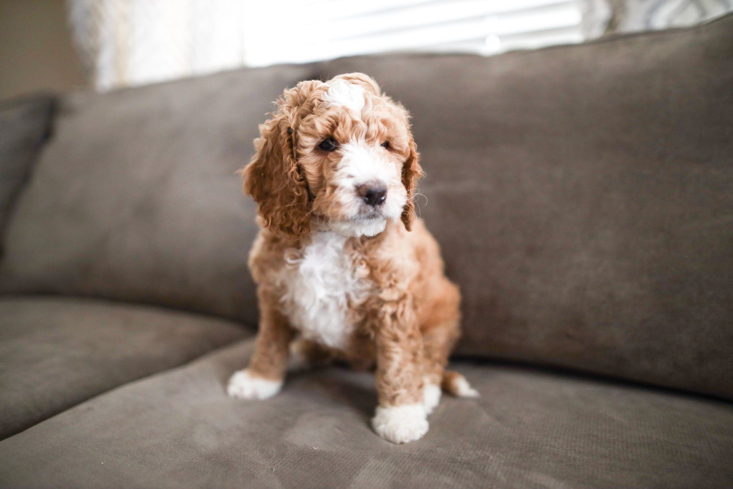 Happy Doodle Bnb