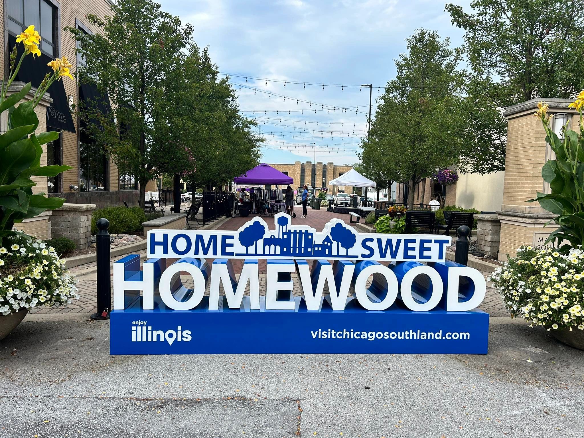 Street In Homewood Illinois