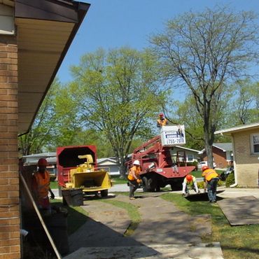 tree crew setting up for job