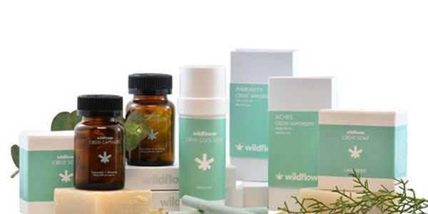 Wildflower skincare products with natural packaging displayed alongside a soap bar and plant sprigs.