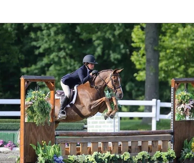 Premium Horse Boarding Services