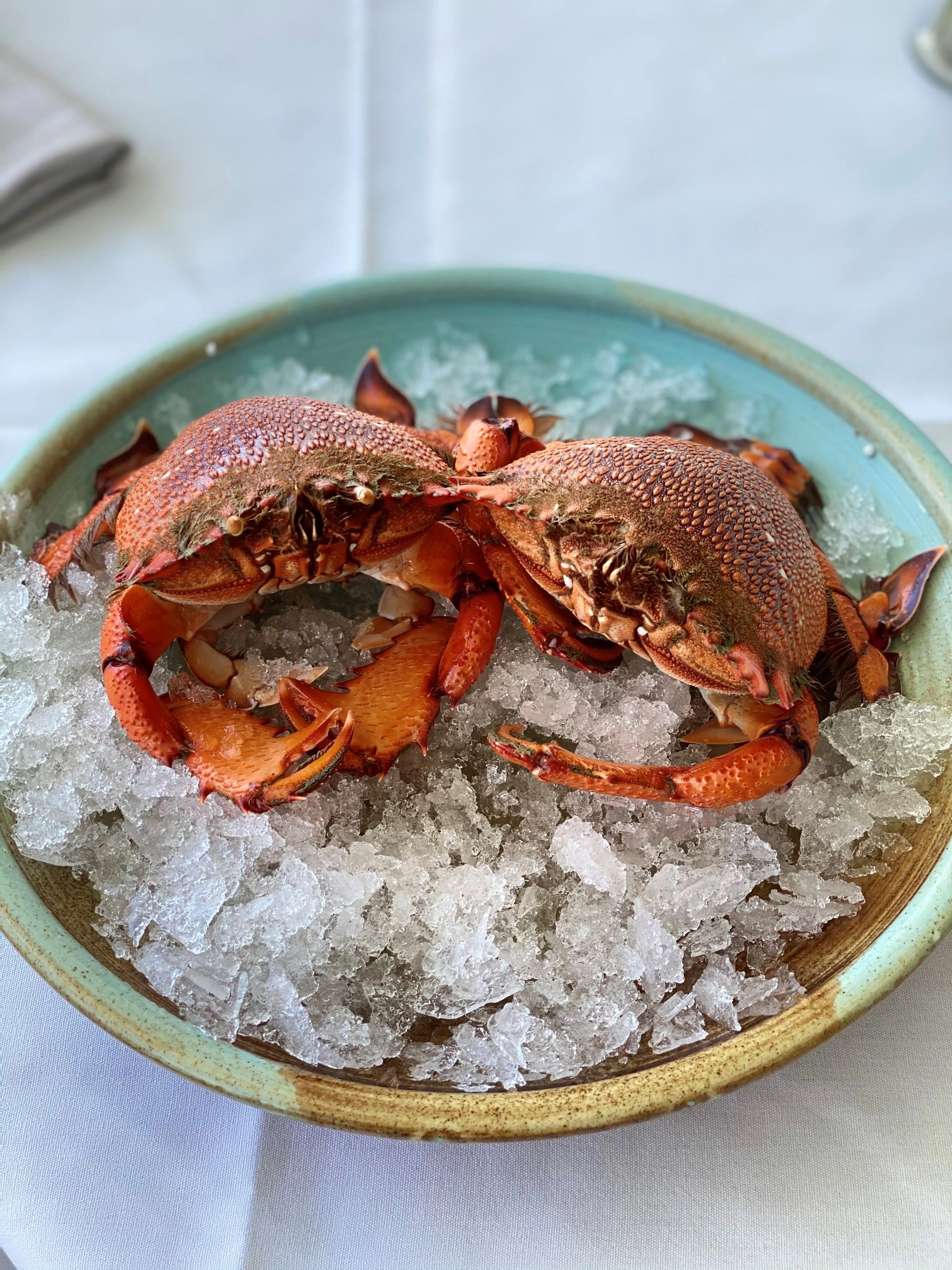 Unveiling the Delicacy of Fraser Island Spanner Crabs