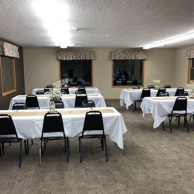 Aussie puppies for sale