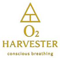 02 Harvester