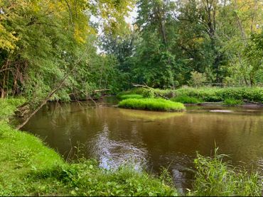 Northern Michigan River View 