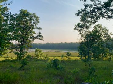 Michigan Nature View 