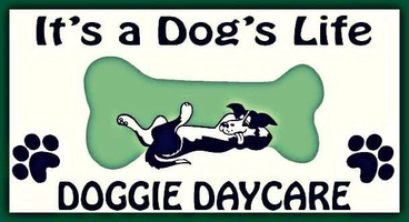 It's A Dog's Life Doggie Daycare