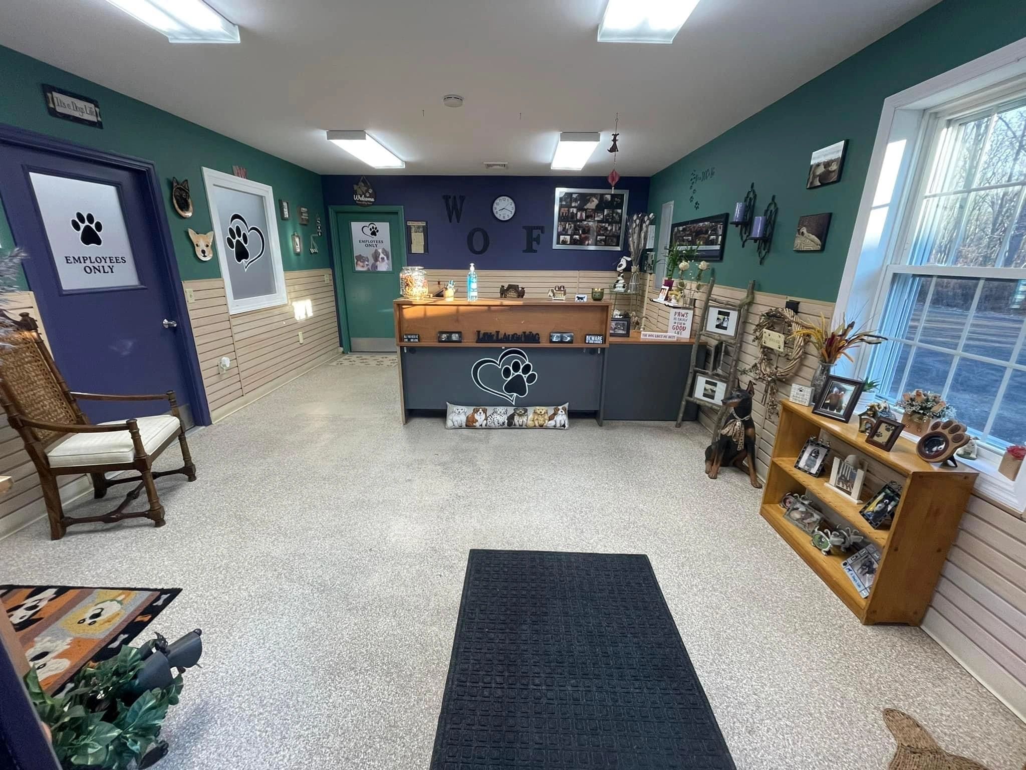 It's A Dog's Life Doggie Daycare