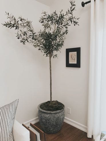 Faux Olive Tree in gorgeous ceramic pot