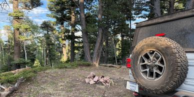 SUV parked near a campfire in a forest clearing.