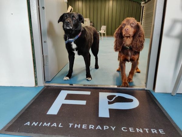 Two happy clients at FP Animal Therapy Centre