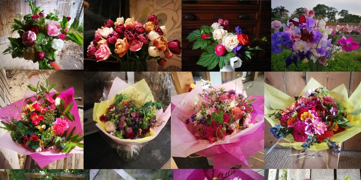 Chambers Farm Flowers Flower Farm, Wedding Flowers, Florist