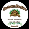 Zootown Exotics