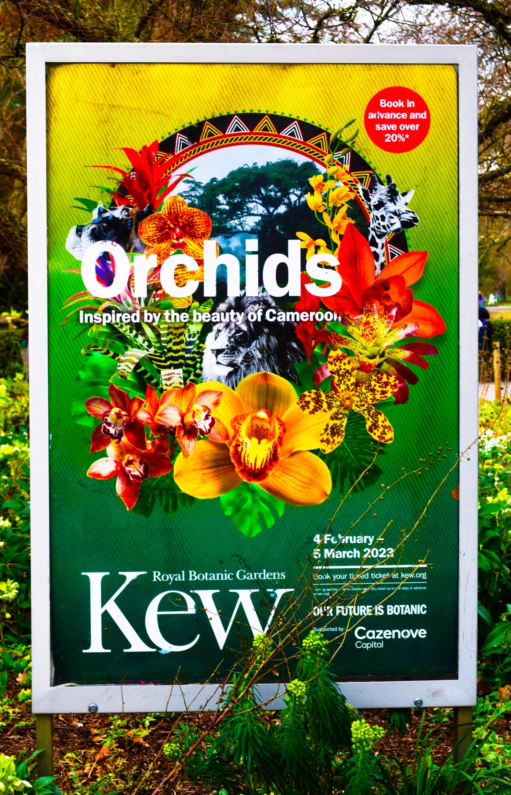Kew Garden Orchid Festival