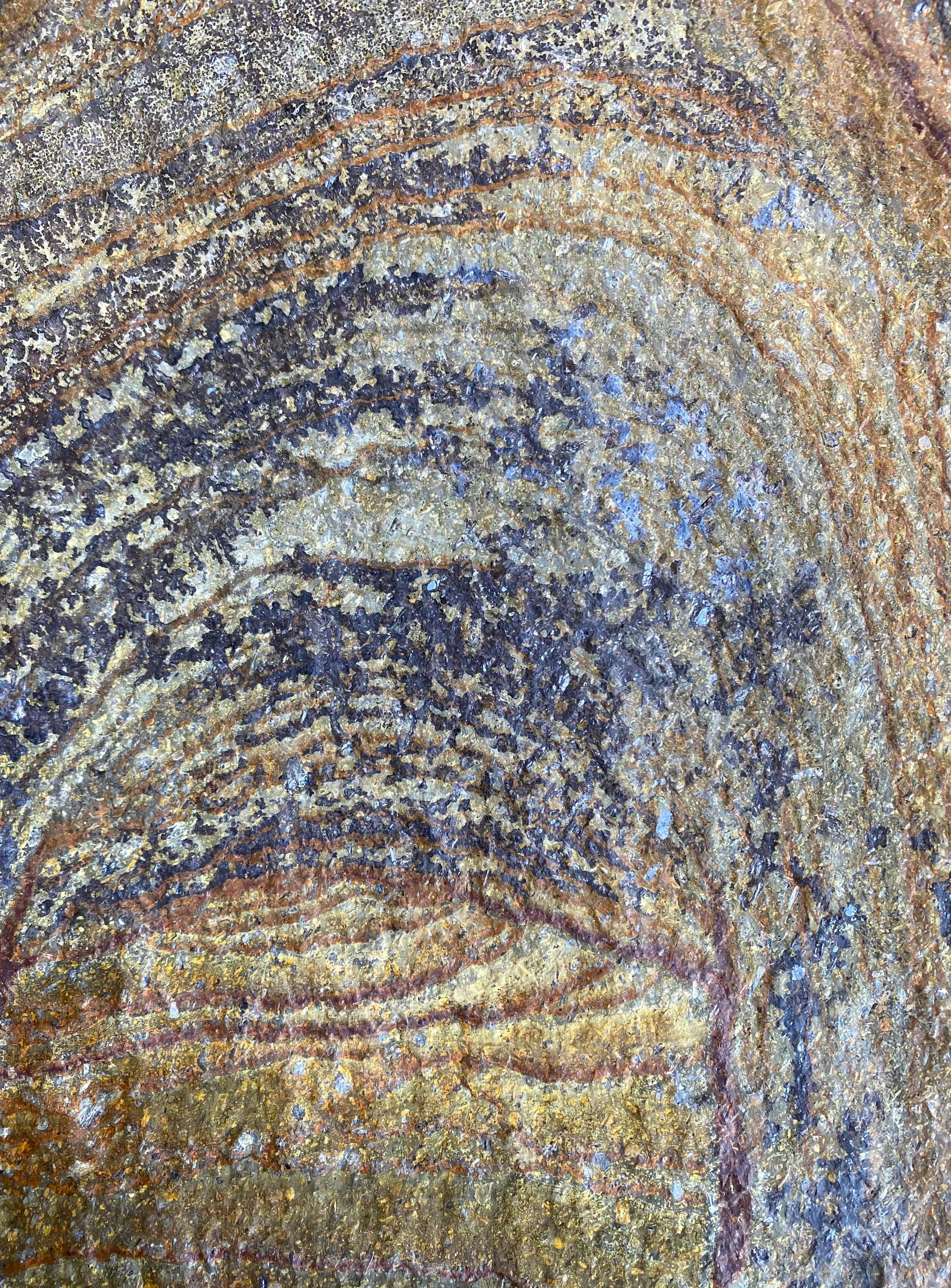 The Rusty Trowel, LLC General Contractor Port Townsend